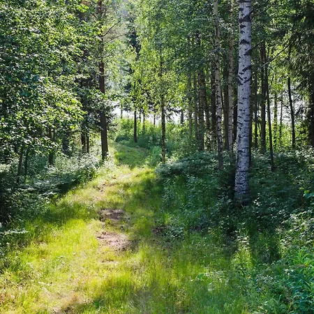 Blue By Interhome Hattusaari